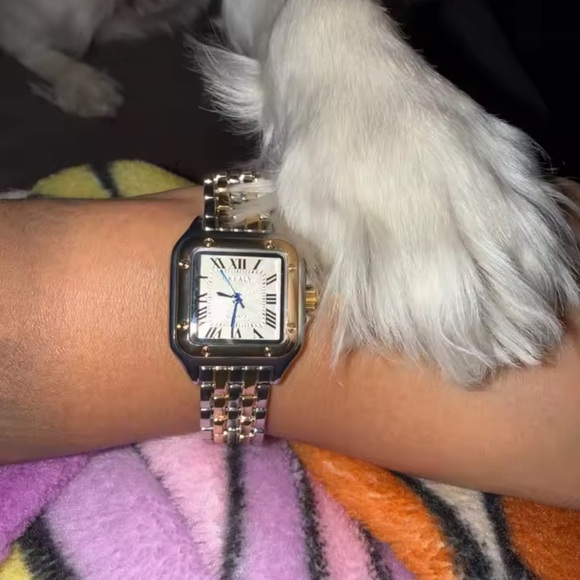 Panthere Two-Tone Classic Stainless Steel Watch - Picture 4 of 16